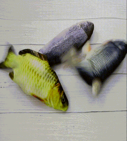 Electric Realistic Fish Toy